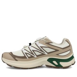 Кросівки Salomon XT-Evr M - бежево/зелені