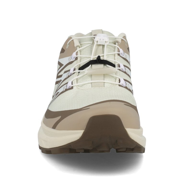 Кросівки Salomon XT-Evr M - бежево/зелені