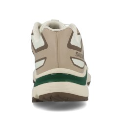 Кросівки Salomon XT-Evr M - бежево/зелені