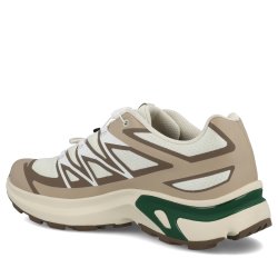 Кросівки Salomon XT-Evr M - бежево/зелені