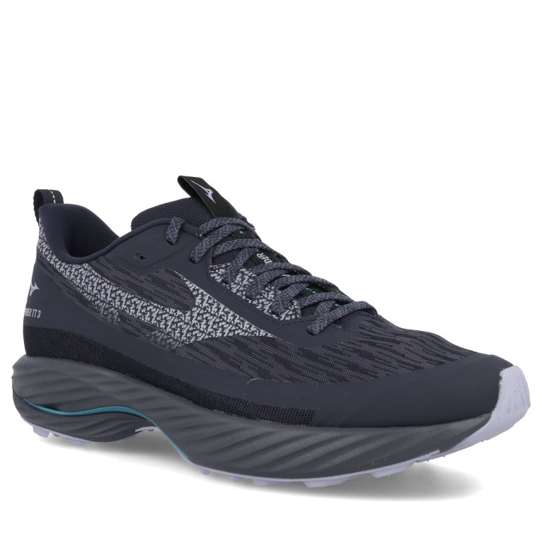 Кросівки Mizuno Wave Rider Tt 3 M - сині