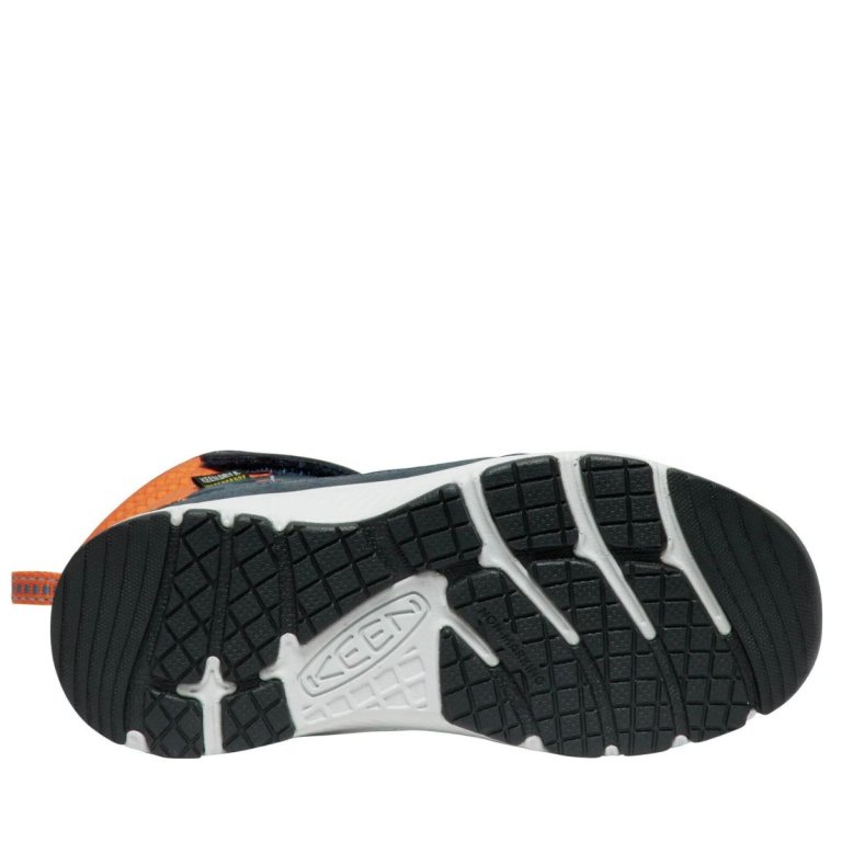 Черевики Keen Skua Winter WP K - сині
