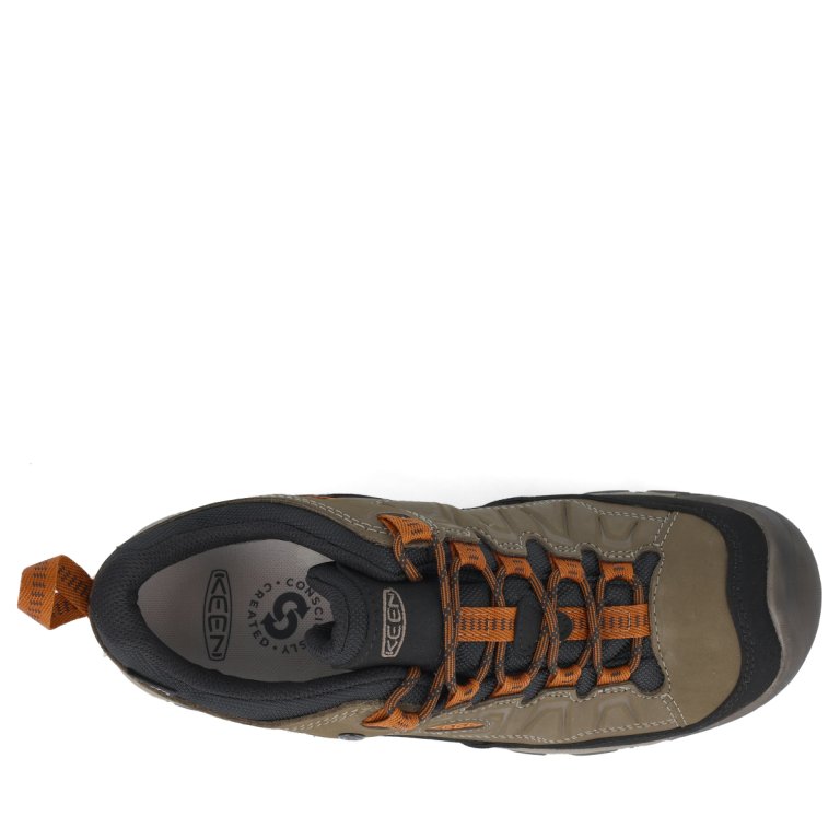 Черевики Keen Targhee IV WP M - коричневі