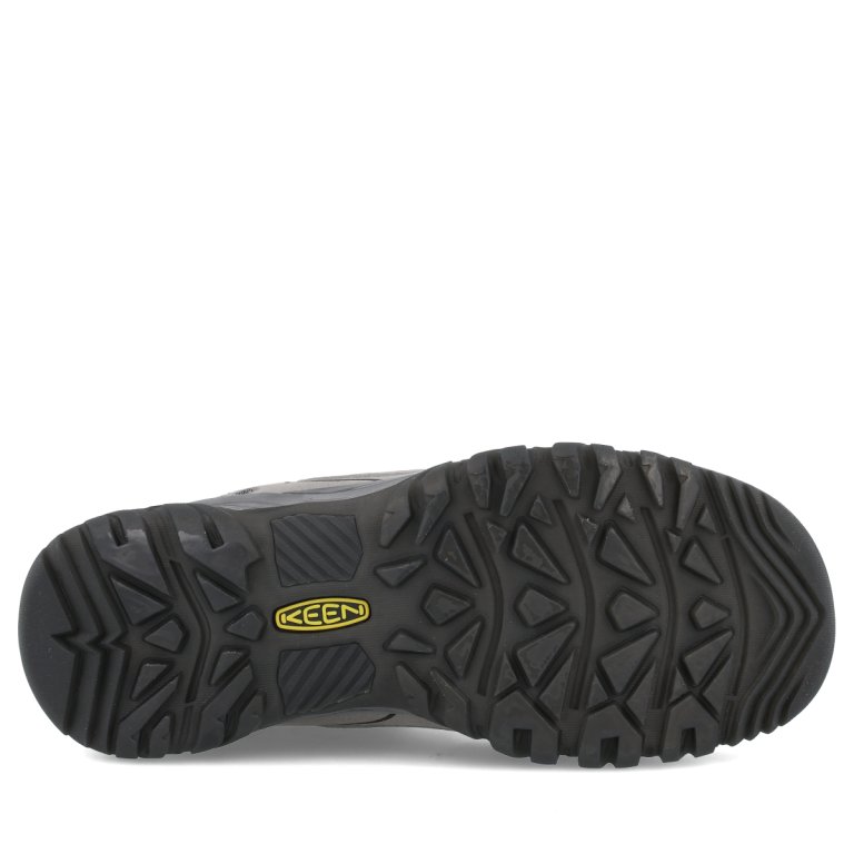 Взуття Keen Targhee IV WP W - сірі