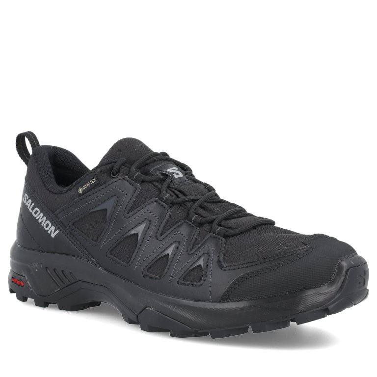 Черевики Salomon X Braze GTX M - чорні