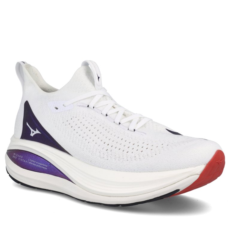 Кросівки Mizuno Neo Vista 2 M - біло/сині