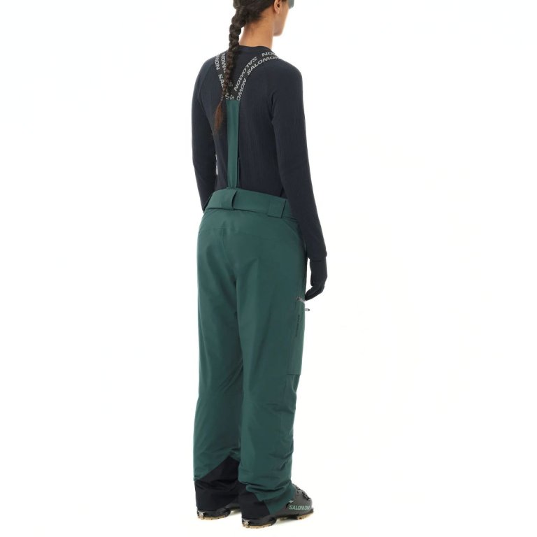 Штани Salomon Brilliant Pant W - зелені