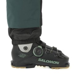 Штани Salomon Brilliant Pant W - зелені