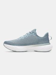 Кросівки Under Armour Infinite Wmn Gray Green