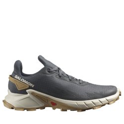 Взуття Salomon Alphacross 4 M - сірий