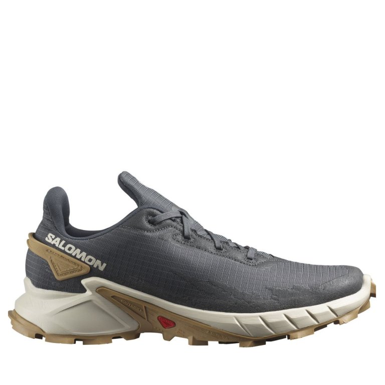 Взуття Salomon Alphacross 4 M - сірий