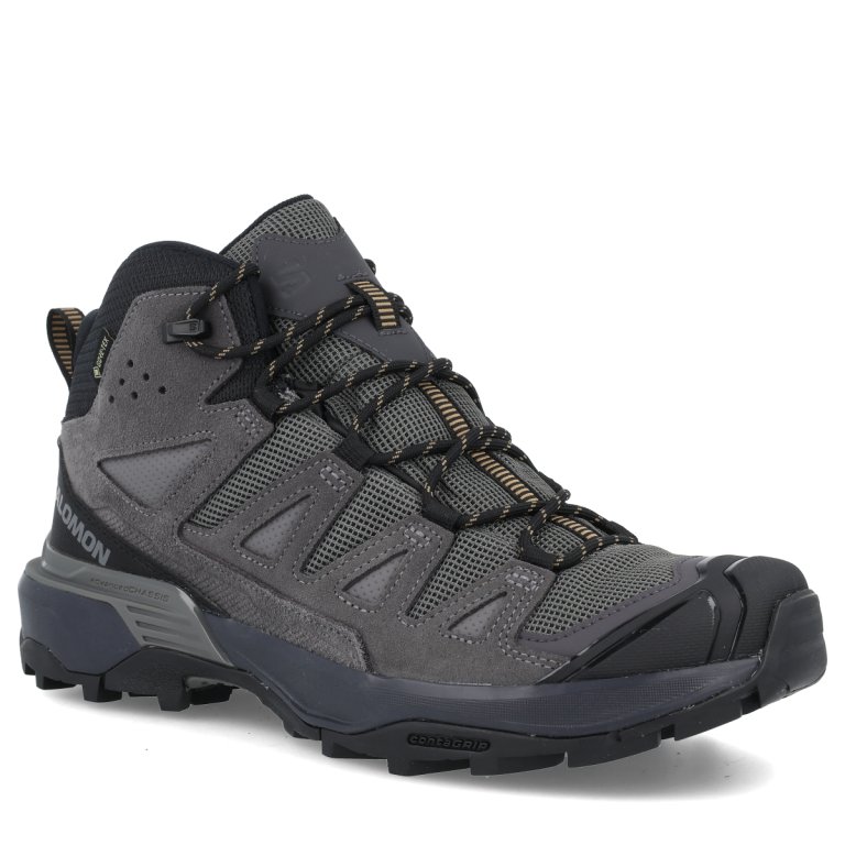 Взуття Salomon X Ultra 360 Ltr Mid GTX M - сірий