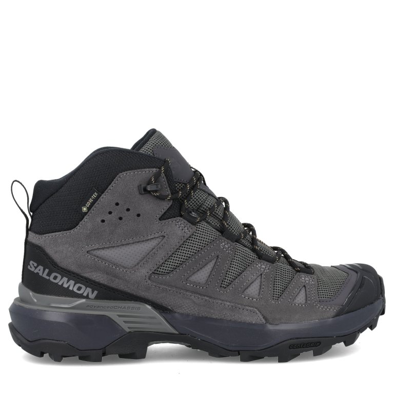 Взуття Salomon X Ultra 360 Ltr Mid GTX M - сірий