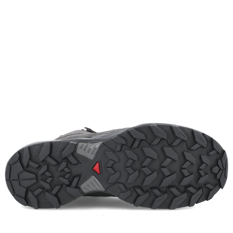 Взуття Salomon X Ultra 360 Ltr Mid GTX M - сірий