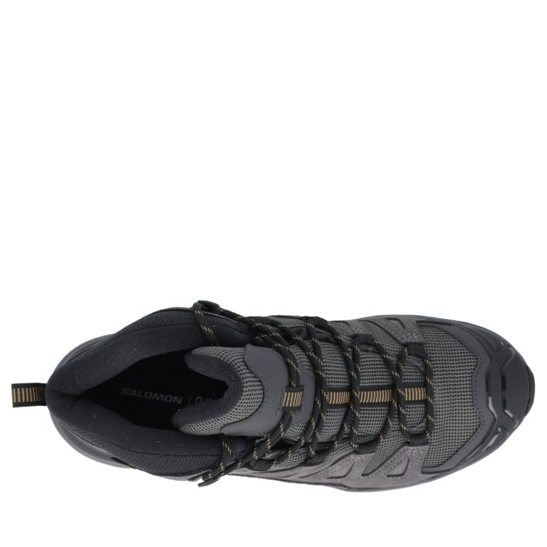 Взуття Salomon X Ultra 360 Ltr Mid GTX M - сірий