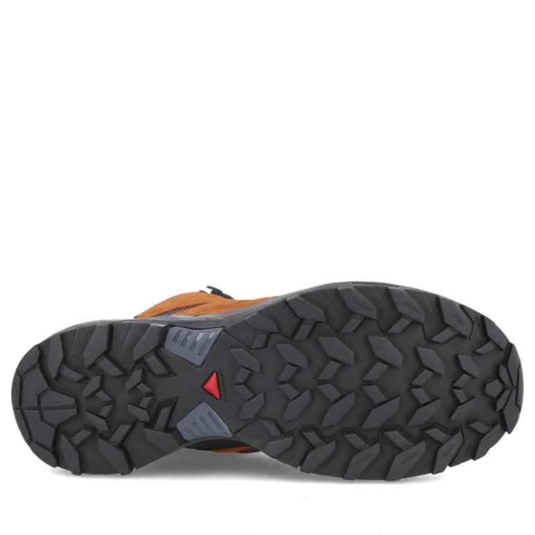 Взуття Salomon X Ultra 360 Ltr Mid GTX M - синій/коричневий