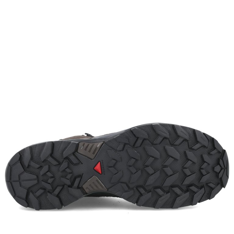 Взуття Salomon X Ultra 360 Ltr Mid GTX M - коричневий