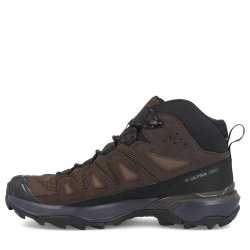 Взуття Salomon X Ultra 360 Ltr Mid GTX M - коричневий