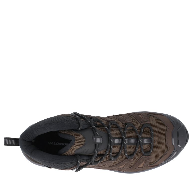 Взуття Salomon X Ultra 360 Ltr Mid GTX M - коричневий
