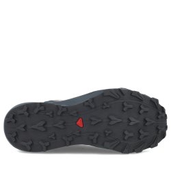 Кросівки Salomon Thundercross GTX M - сірі/ помаранчеві