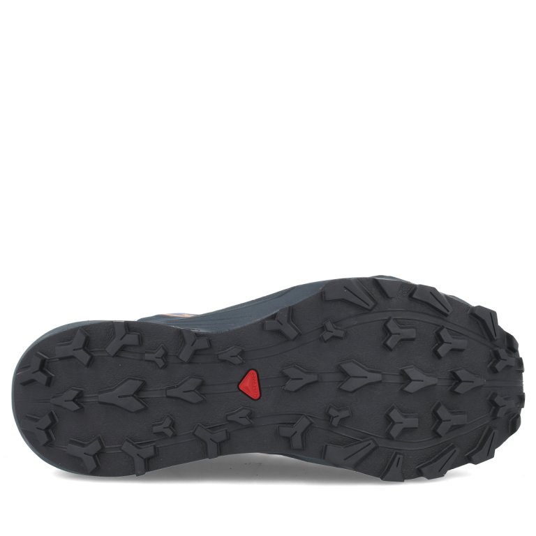 Кросівки Salomon Thundercross GTX M - сірі/ помаранчеві