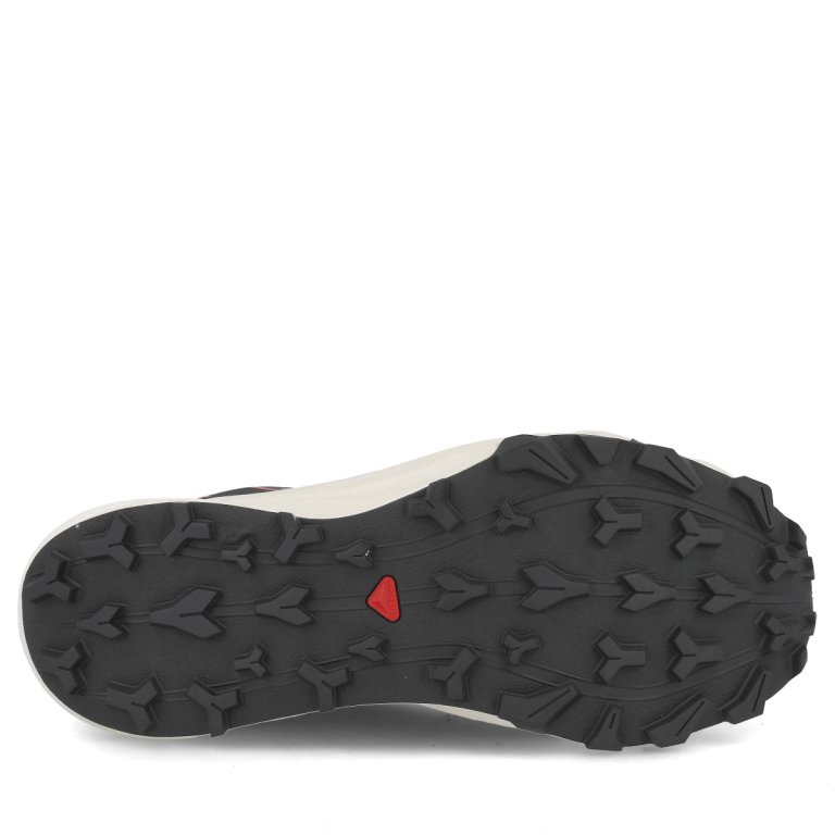 Взуття Salomon Thundercross GTX M - чорний/сірий/помаранчевий