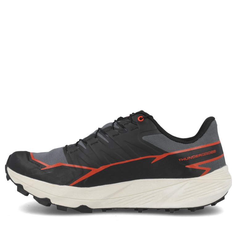 Взуття Salomon Thundercross GTX M - чорний/сірий/помаранчевий