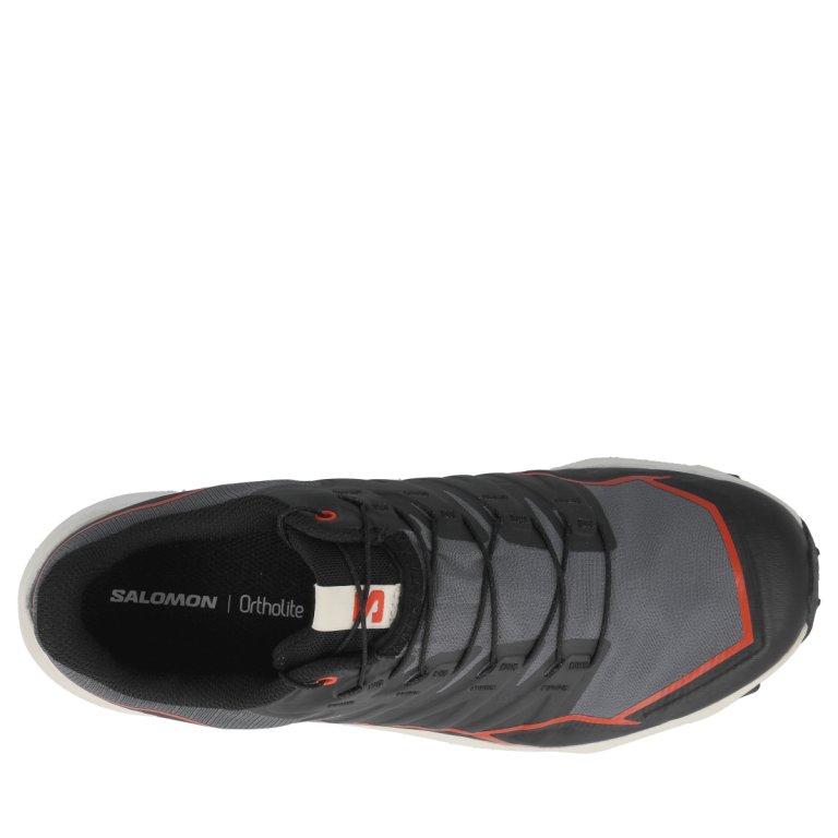 Взуття Salomon Thundercross GTX M - чорний/сірий/помаранчевий