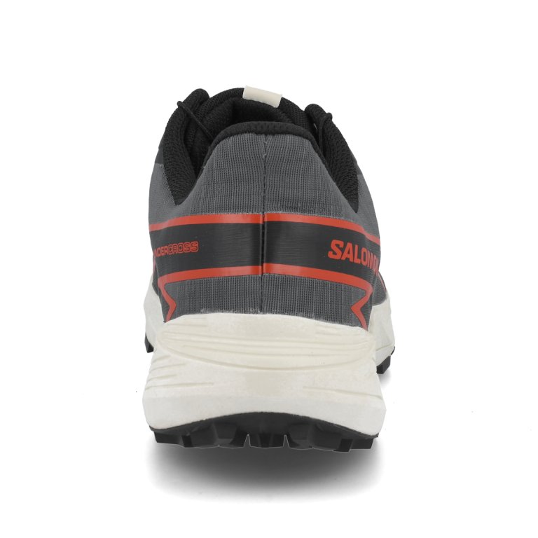 Взуття Salomon Thundercross GTX M - чорний/сірий/помаранчевий