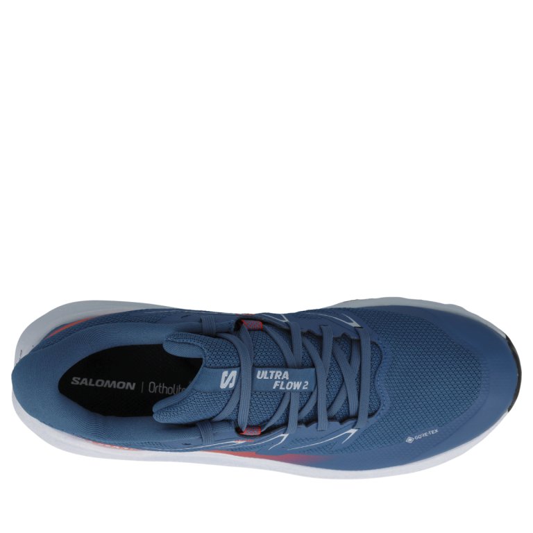 Кросівки Salomon Ultra Flow 2 GTX M - сині