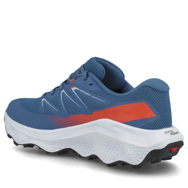 Кросівки Salomon Ultra Flow 2 GTX M - сині