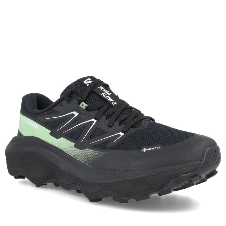Кросівки Salomon Ultra Flow 2 GTX M - чорно/зелені