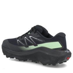 Кросівки Salomon Ultra Flow 2 GTX M - чорно/зелені