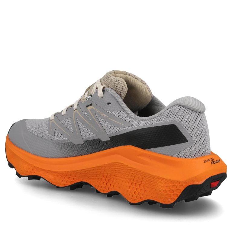 Кросівки Salomon Ultra Flow 2 GTX M - сіро/помаранчеві