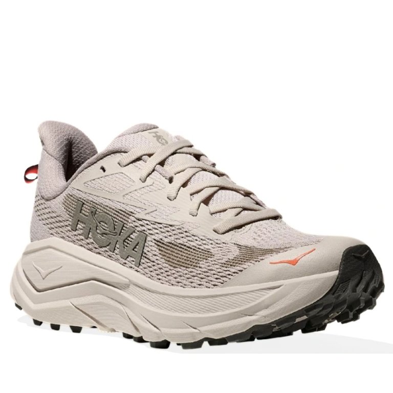 Кросівки Hoka Challenger 8 W - сірі