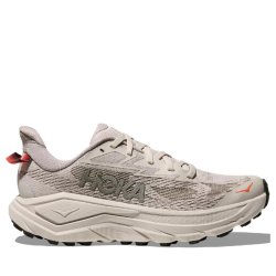 Кросівки Hoka Challenger 8 W - сірі