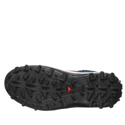 Зимові черевики Salomon Crosstrak Powder WP Equipe M - чорні