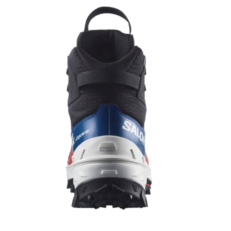 Зимові черевики Salomon Crosstrak Powder WP Equipe M - чорні
