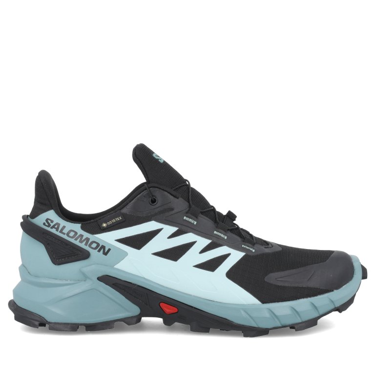 Взуття Salomon Supercross 4 GTX W - чорний/зелений
