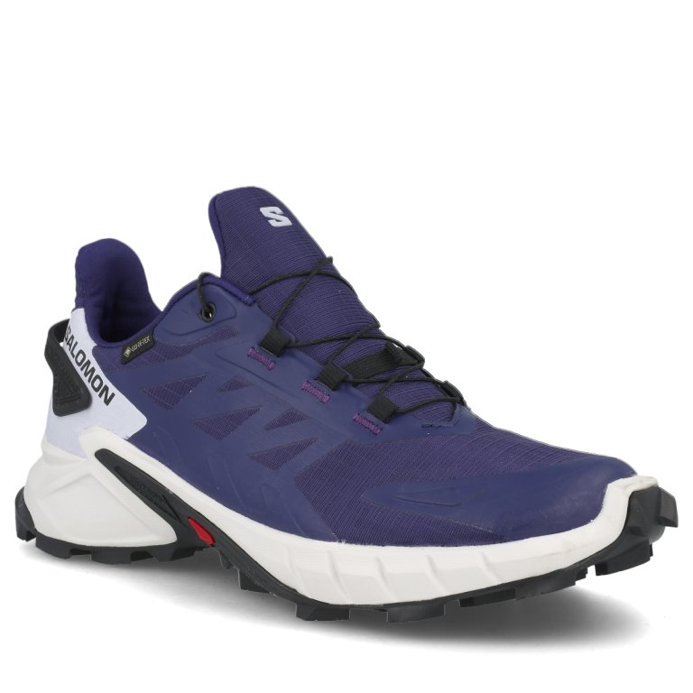Взуття Salomon Supercross 4 GTX W - синій/білий/чорний