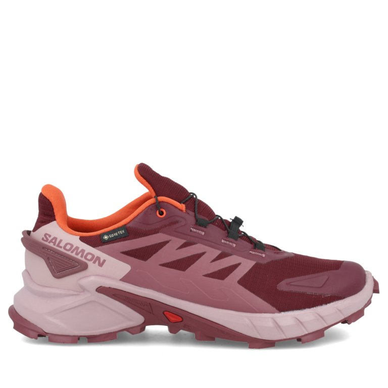 Взуття Salomon Supercross 4 GTX W - червоний