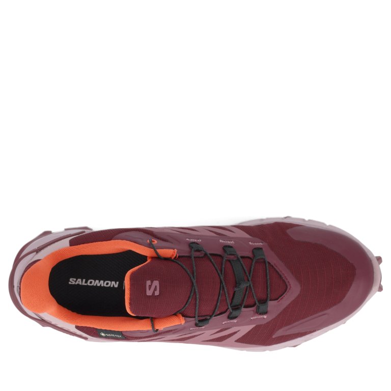 Взуття Salomon Supercross 4 GTX W - червоний