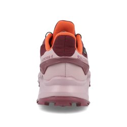 Взуття Salomon Supercross 4 GTX W - червоний
