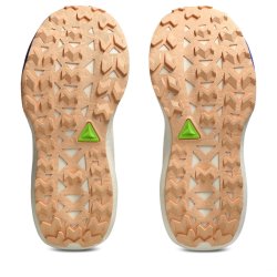 Кросівки Asics Trabuco Max 5 W - фіолетові