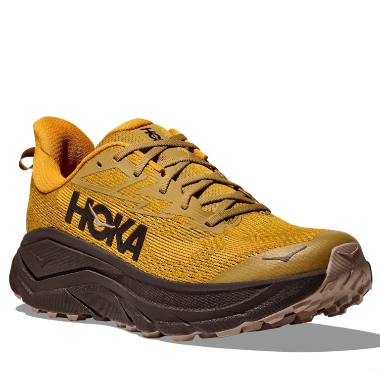 Кросівки Hoka Challenger 8 M - жовто/коричнево/чорні