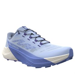 Кросівки Salomon Pulsar W - сині