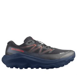 Кросівки Salomon Ultra Flow 2 GTX M - чорні
