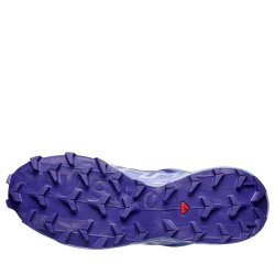 Кросівки Salomon Speedcross 6 GTX W - сині