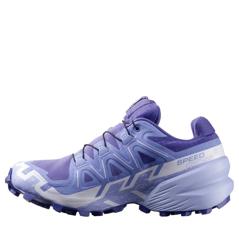 Кросівки Salomon Speedcross 6 GTX W - сині