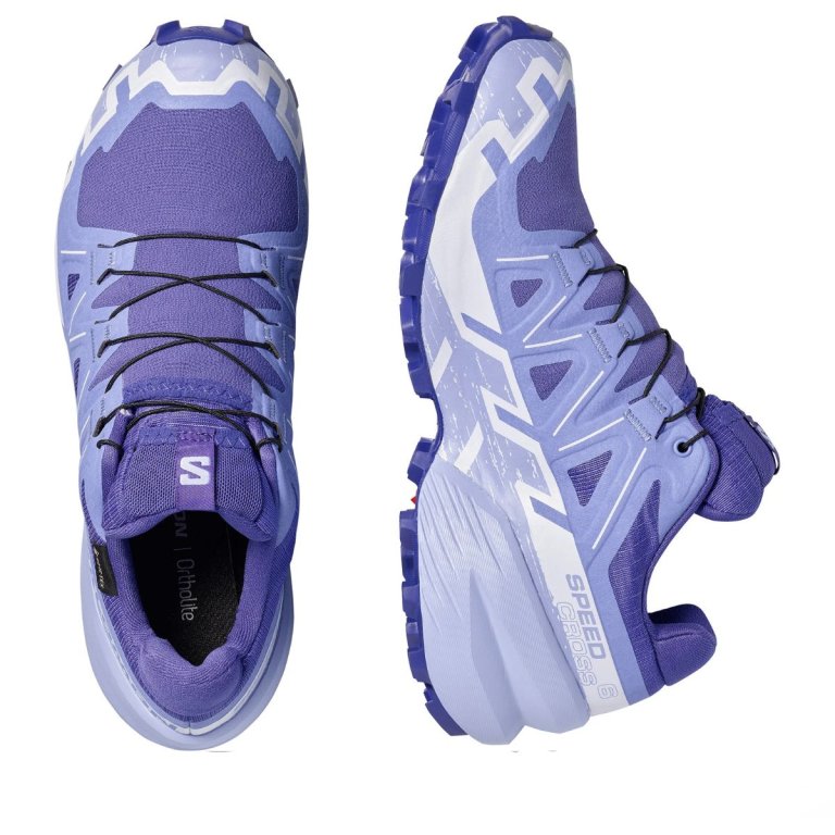Кросівки Salomon Speedcross 6 GTX W - сині